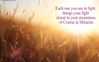 Each One You See in Light