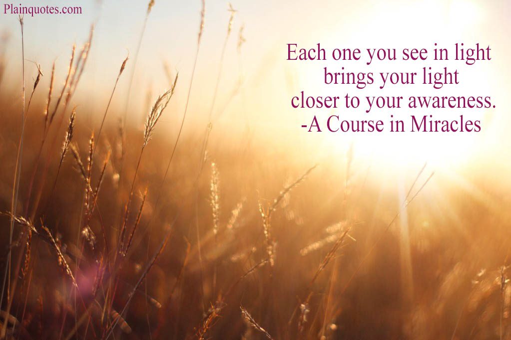 Each One You See in Light