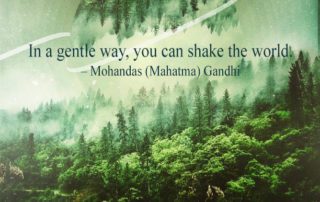 In a gentle way, you can shake