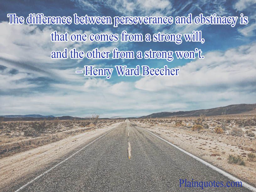 The difference between perseverance and obstinacy