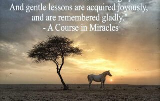 There is no need to learn through pain