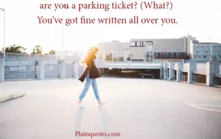 are you a parking ticket?
