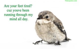 Are your feet tired? image