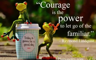 courage is the power