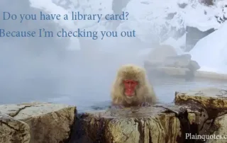 Do you have a library card?