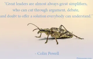 great leaders are almost always great