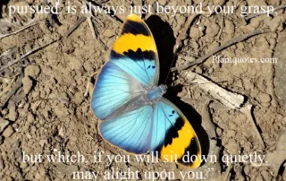 happiness is a butterfly