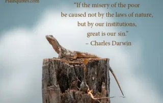 if the misery of the poor