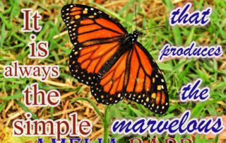 It is always the simple image