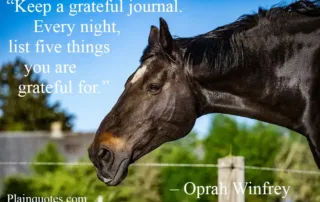 keep a grateful journal