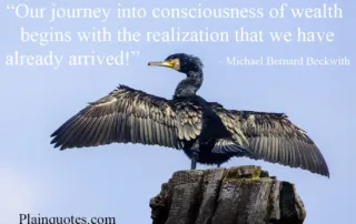 Our journey into consciousness