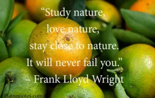 Study nature