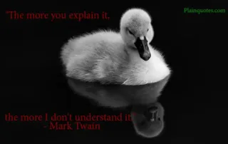 the more you explain it