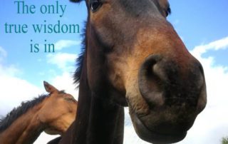 the only true wisdom