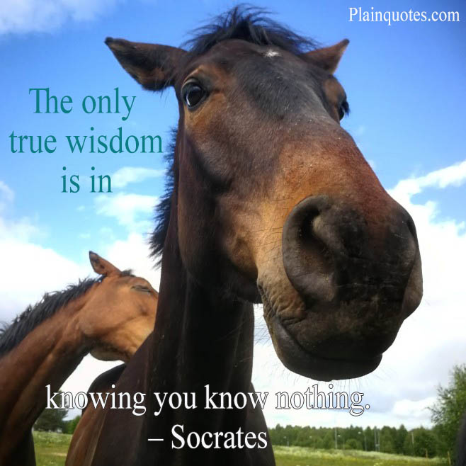 the only true wisdom