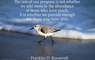 The test of our progress