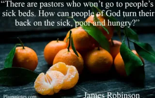 there are pastors