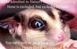 to be admitted to natures heart