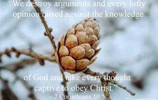 we destroy arguments