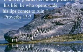 whoever guards his mouth