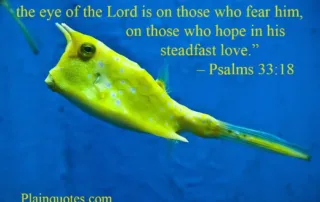 behold the eye of the Lord