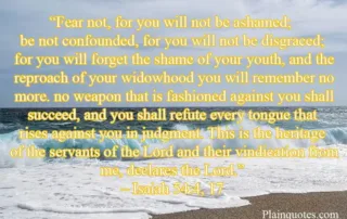 fear not for you will not