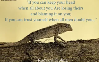 If you can keep your head