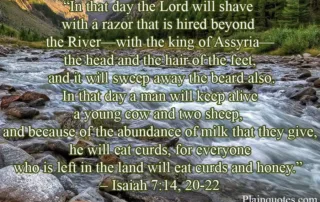 in that day the lord will shave