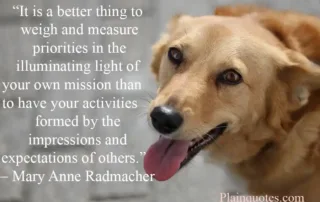 it is a better thing