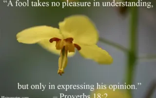 A fool takes no pleasure