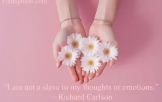 I am not a slave