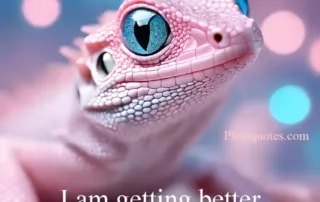 every day in every way