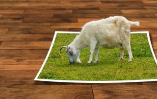 centerInPhotoshop image