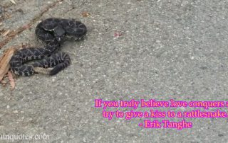 If you Truly Believe image