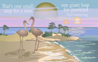 that's One Small Step quote