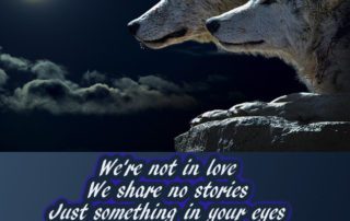 darkside alan walker picture