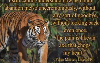 I Still Cannot Understand How