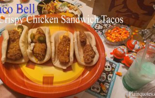 Taco Bell Crispy Chicken Sandwich Taco