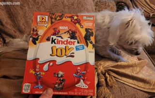 Costco Kinder Joy MARVEL Chocolate Pack