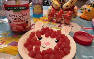 Organic Apple Cider Vinegar Gummies Costco