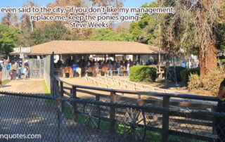 Griffith Park Pony Rides