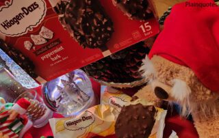 Haagen-Dazs Peppermint Bark Ice Cream Bars