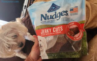 Nudges Beef Jerky Cuts Steak