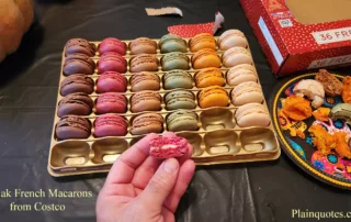 Tipiak French Macarons