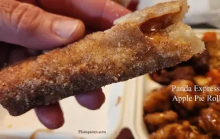 Panda Express Apple Pie Roll