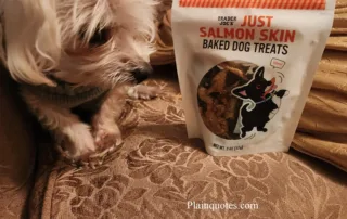 Trader Joe's Salmon Skin for Dogs