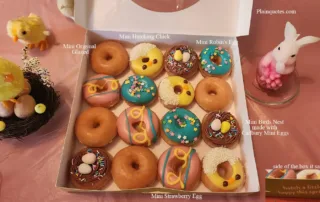 Krispy Kreme Mini Spring