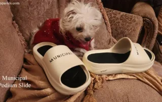 Municipal Podium Slides