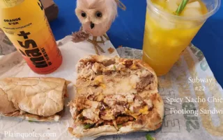Subway Spicy Nacho Chicken