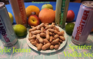 Kylie Jenner Sprinter Vodka Soda